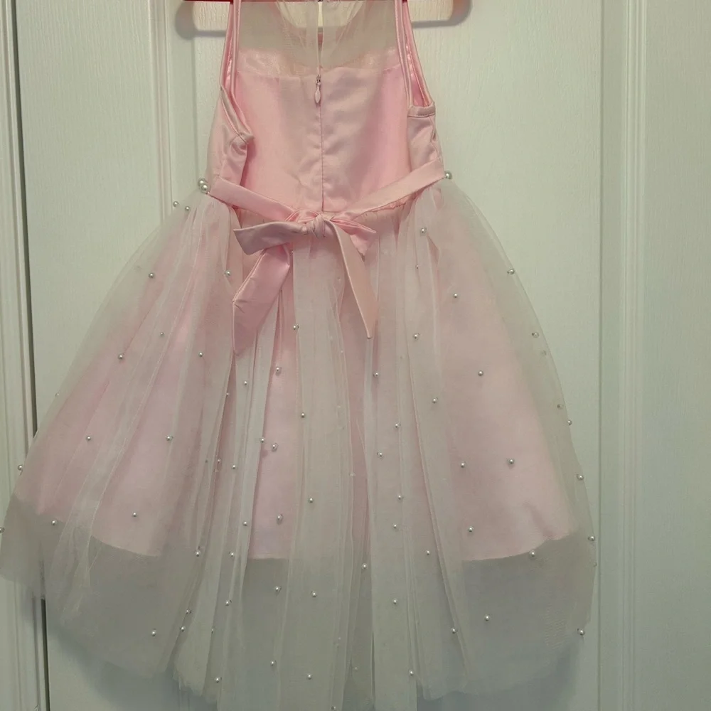 American Princess Pink Formal Dress - Picture 3 of 7